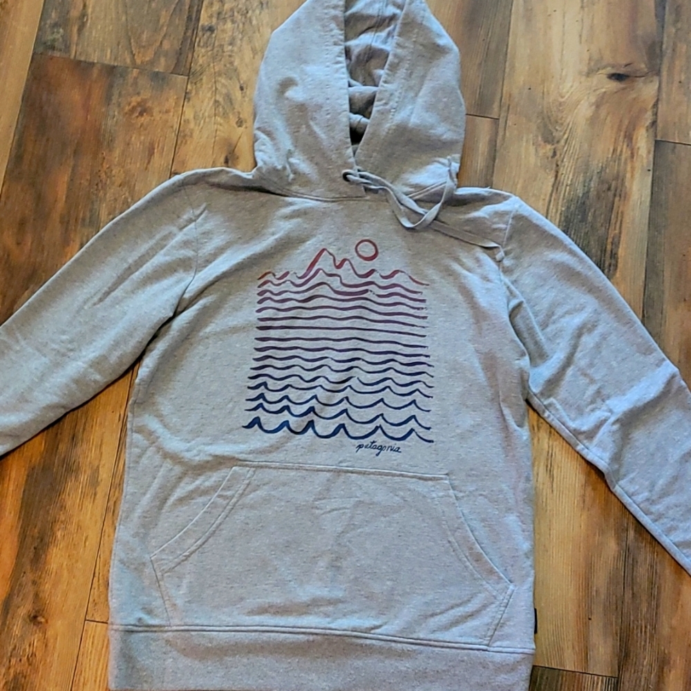 Patagonia hoodie